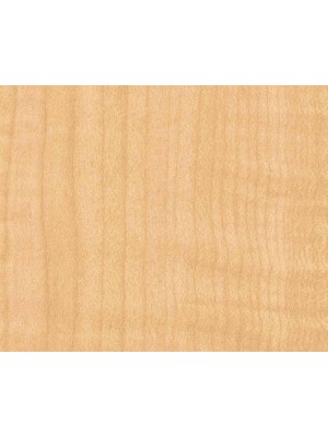SOFT MAPLE 